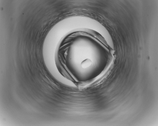 X0000087680562200706011657