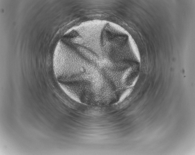 X0000087680563200706011657