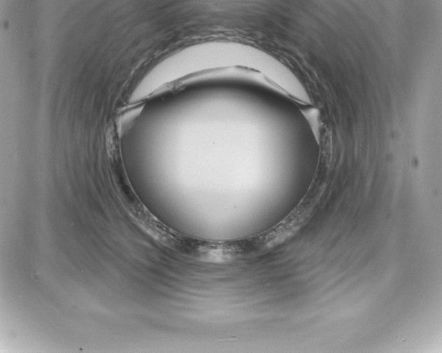 X0000087680564200706011657