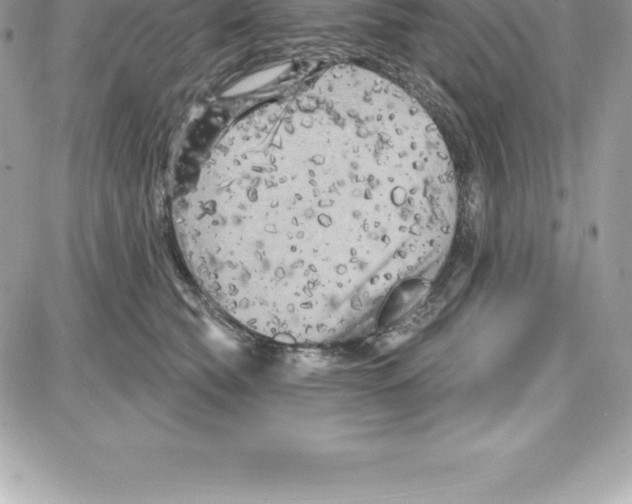 X0000087680565200706011657