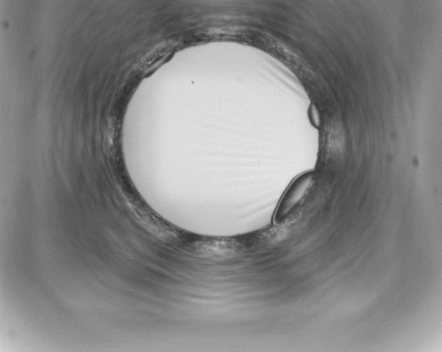 X0000087680567200706011657