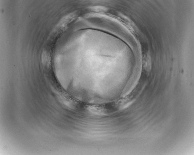 X0000087680568200706011657