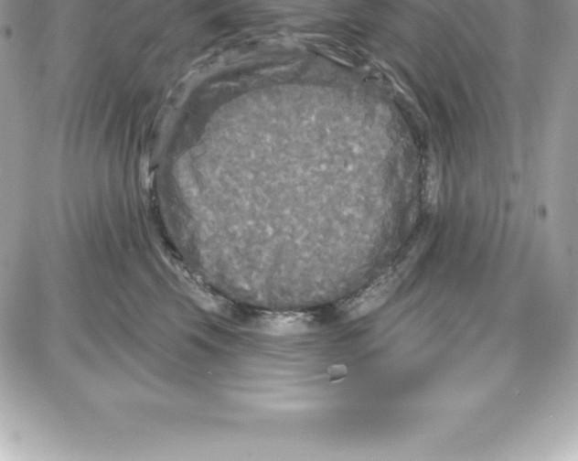 X0000087680569200706011657