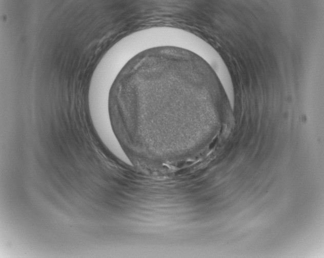 X0000087680570200706011657