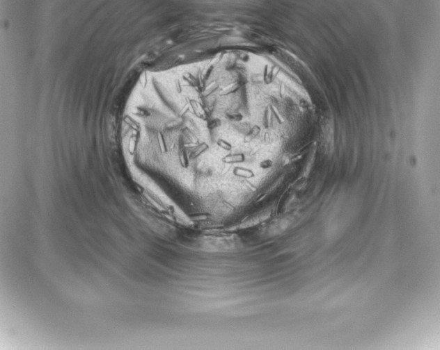 X0000087680571200706011657