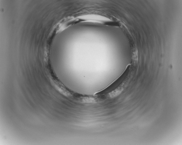 X0000087680572200706011657