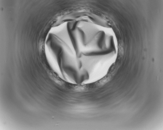 X0000087680574200706011657