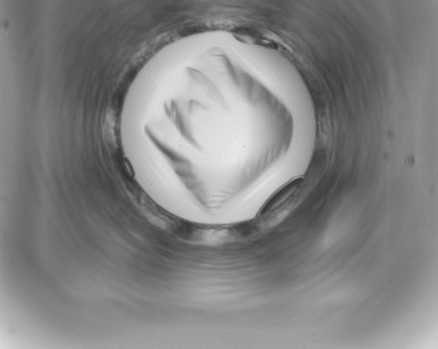 X0000087680575200706011657