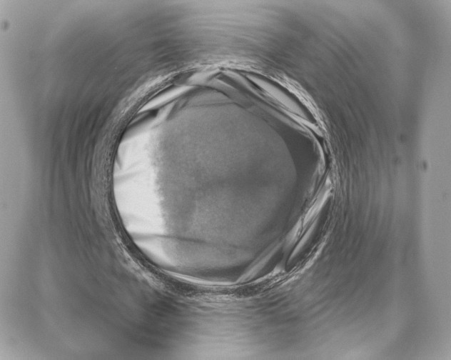 X0000087680577200706011656