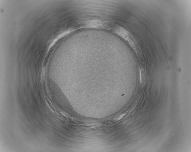 X0000087680579200706011656