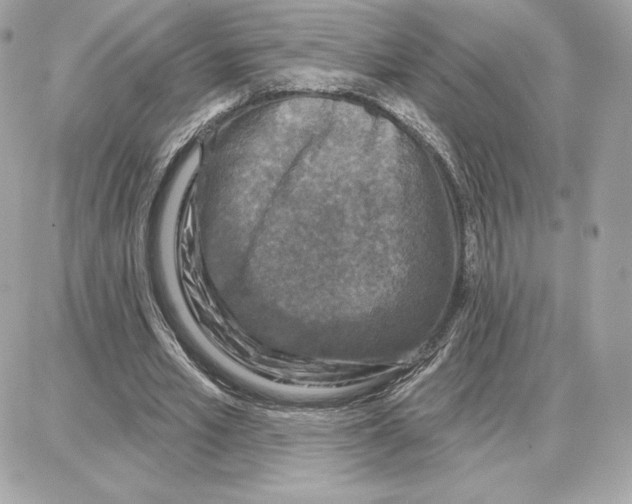 X0000087680581200706011656