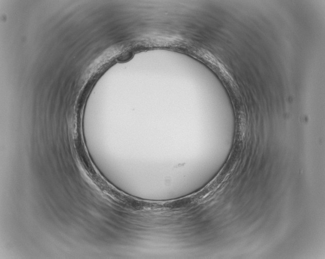 X0000087680582200706011656