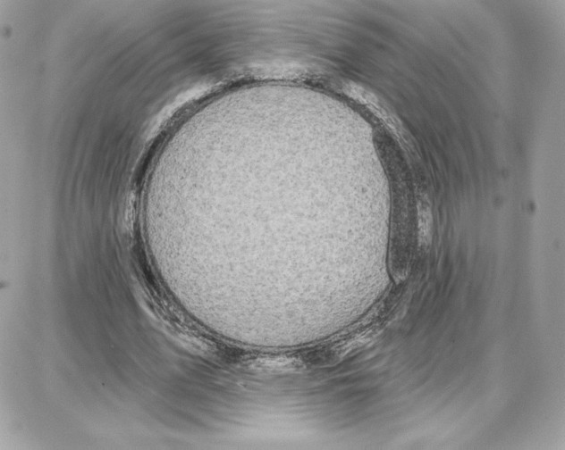 X0000087680583200706011656