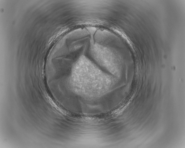 X0000087680585200706011656