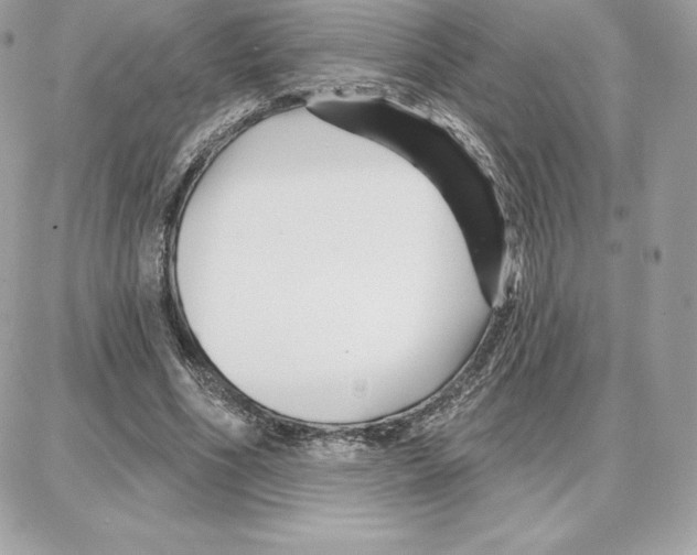 X0000087680586200706011656