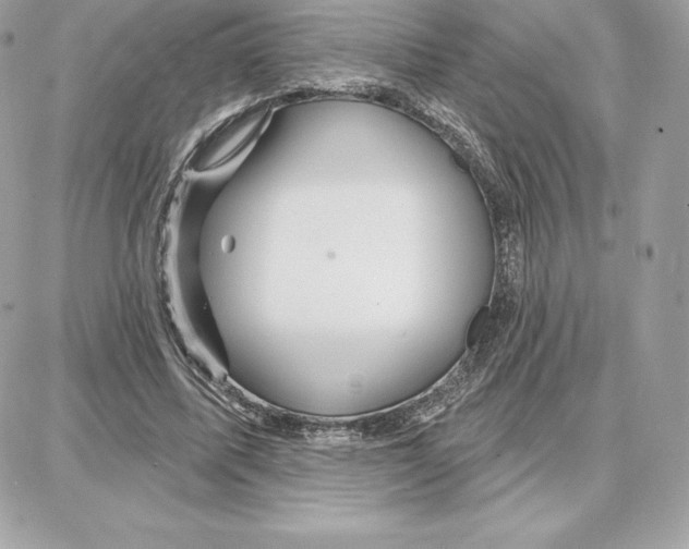 X0000087680587200706011656