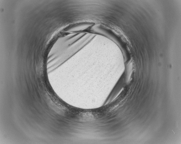 X0000087680588200706011656