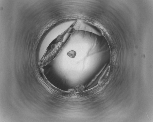 X0000087680589200706011656