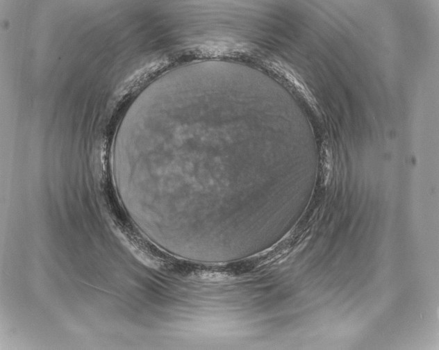 X0000087680590200706011656