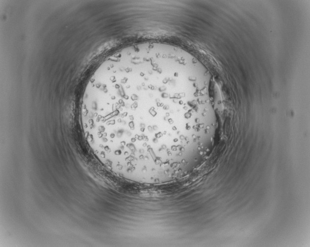 X0000087680591200706011656