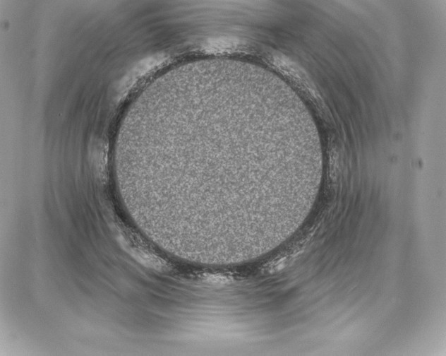 X0000087680592200706011656