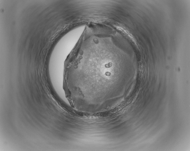 X0000087680593200706011656