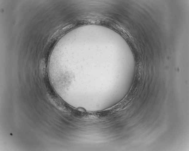 X0000087680594200706011656