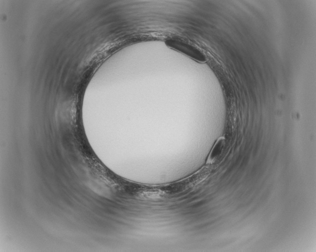 X0000087680595200706011656