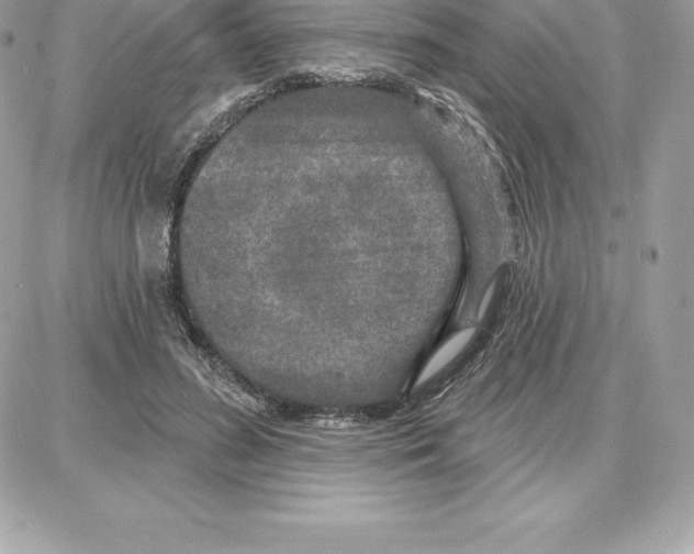 X0000087680596200706011656