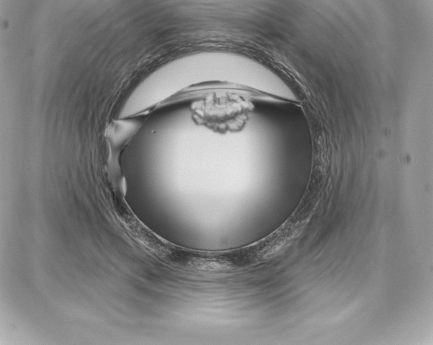 X0000087680597200706011656