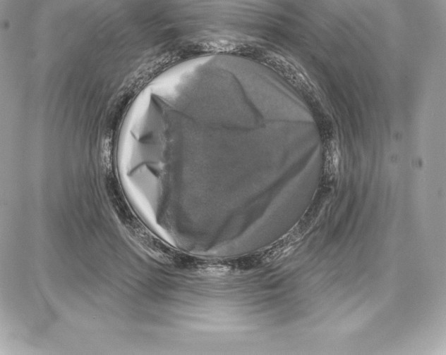 X0000087680598200706011656