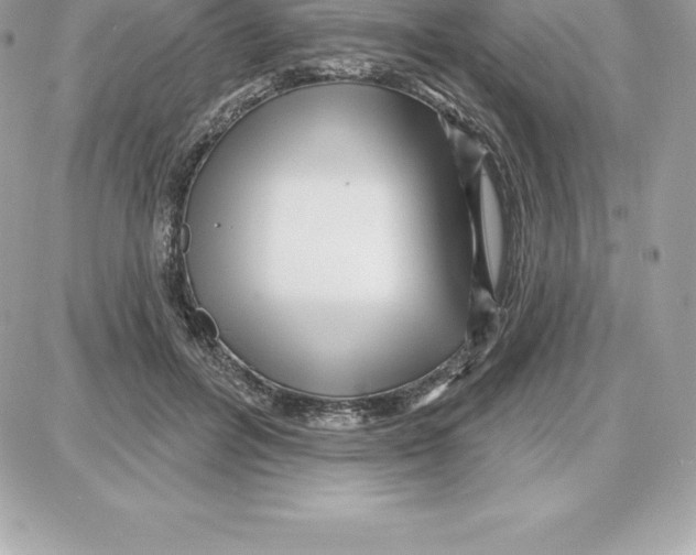 X0000087680600200706011656