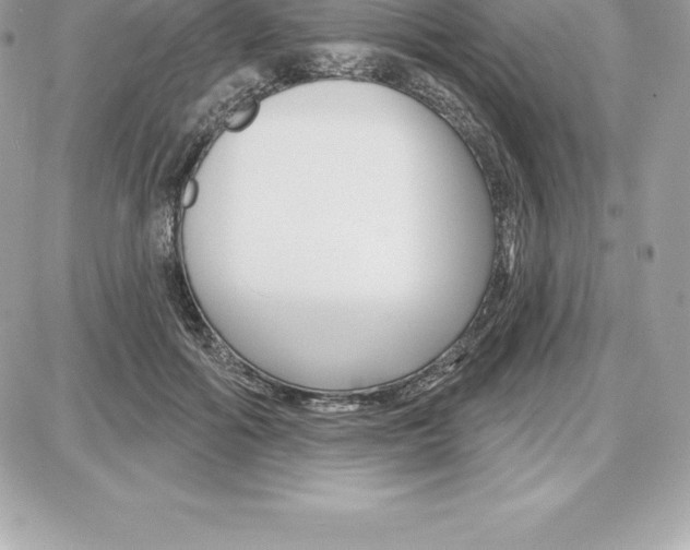 X0000087680602200706011656