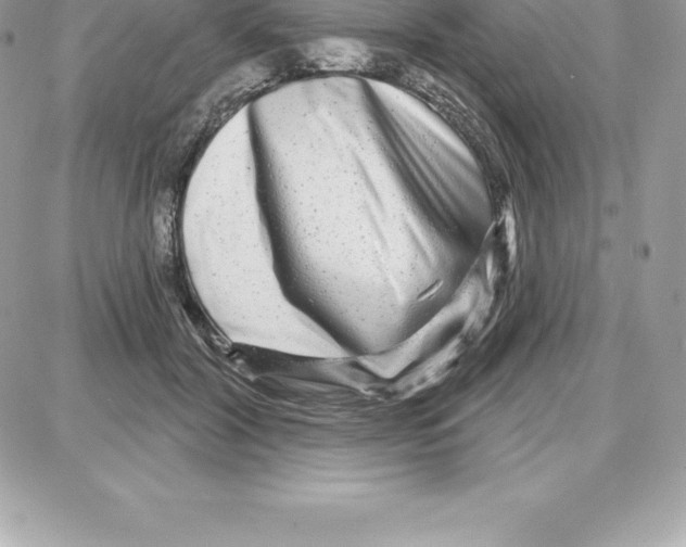 X0000087680604200706011656