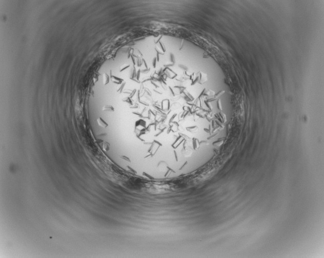 X0000087680607200706011656