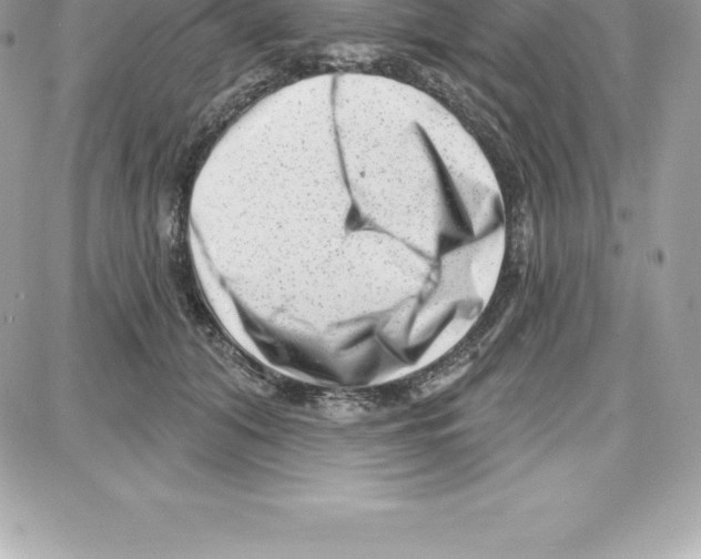 X0000087680608200706011656