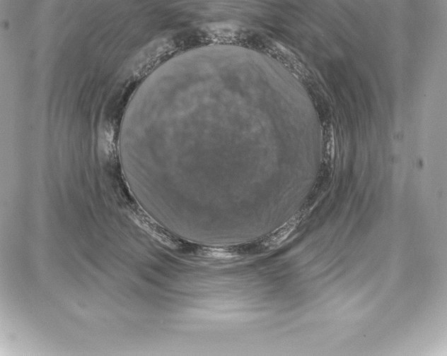 X0000087680610200706011656