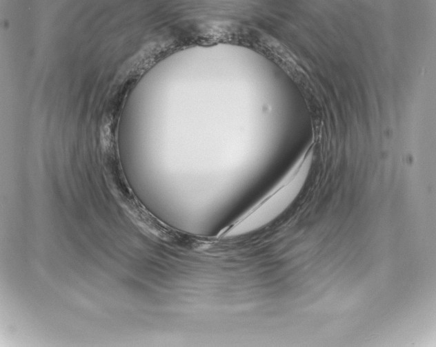 X0000087680611200706011656