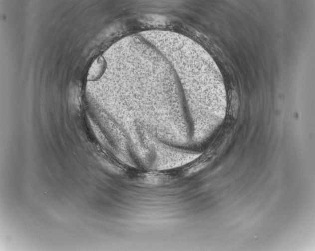 X0000087680612200706011656