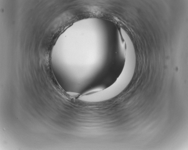 X0000087680613200706011656