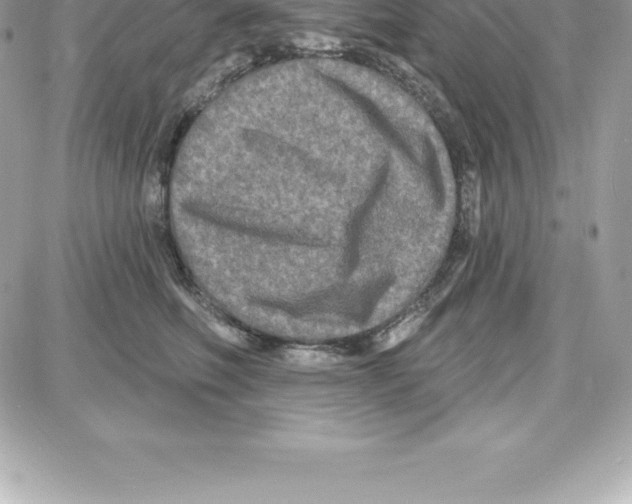 X0000087680614200706011656