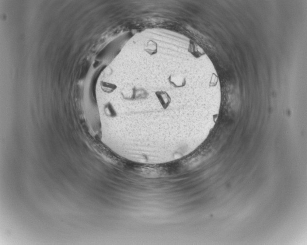 X0000087680615200706011656