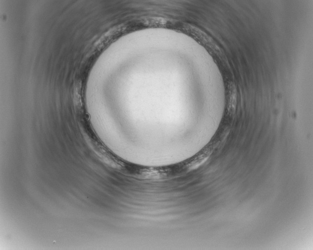 X0000087680616200706011656