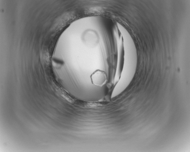 X0000087680617200706011656