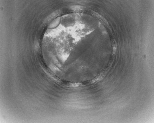 X0000087680618200706011656