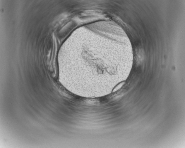 X0000087680619200706011656