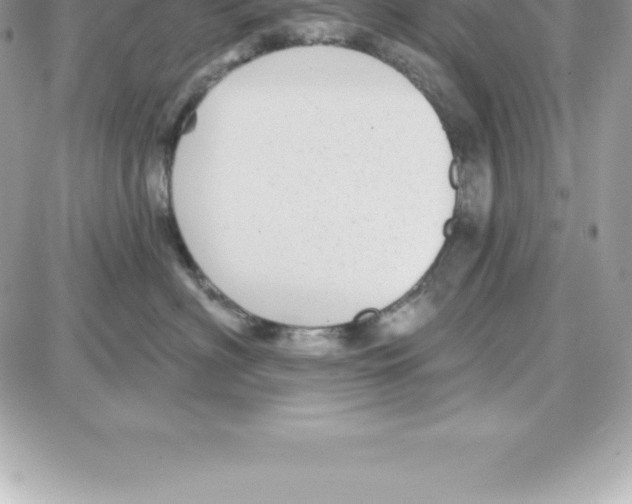 X0000087680622200706011656