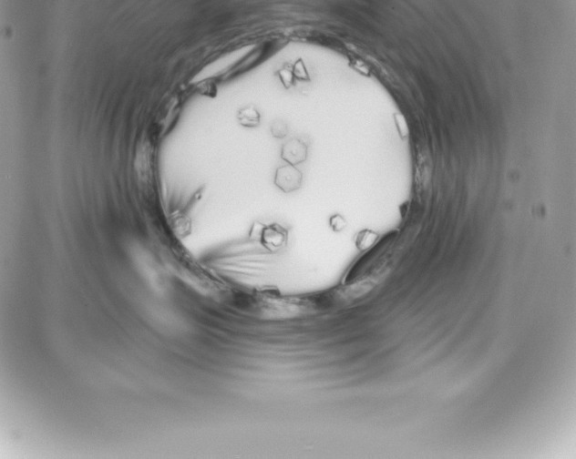 X0000087680623200706011656