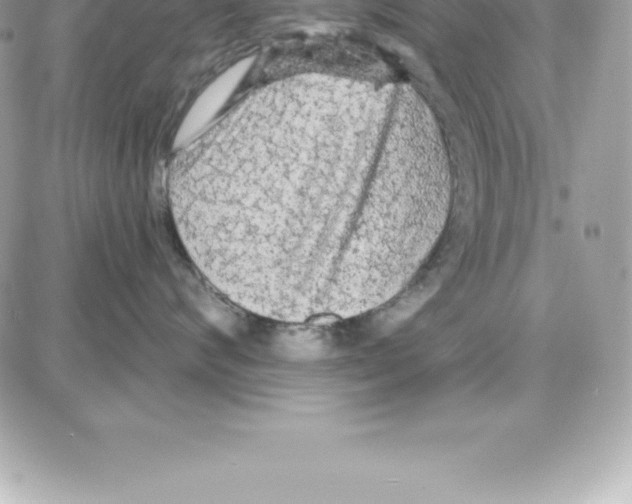 X0000087680624200706011656