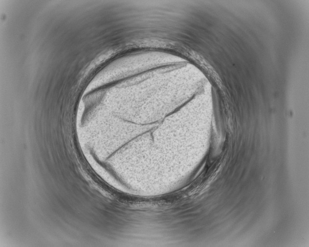 X0000087680625200706011655